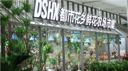 【都市花鄉(xiāng)】植耕長(zhǎng)沙22年，讓人們的生活更加美好